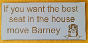 Best seat in the house cat or dog